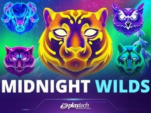 Midnight Wilds game icon